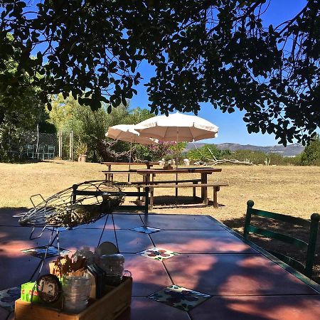 Shepherd'S Tree Backpackers Κνύσνα Εξωτερικό φωτογραφία