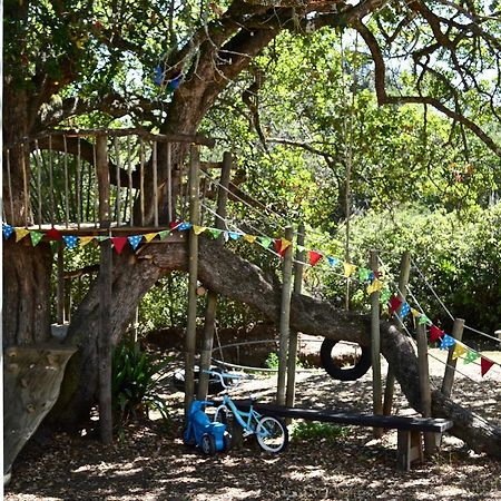 Shepherd'S Tree Backpackers Κνύσνα Εξωτερικό φωτογραφία