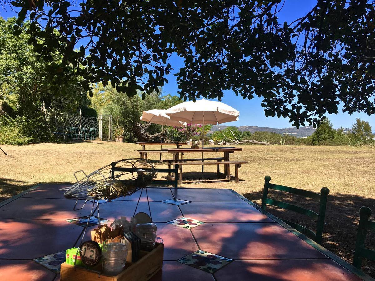 Shepherd'S Tree Backpackers Κνύσνα Εξωτερικό φωτογραφία