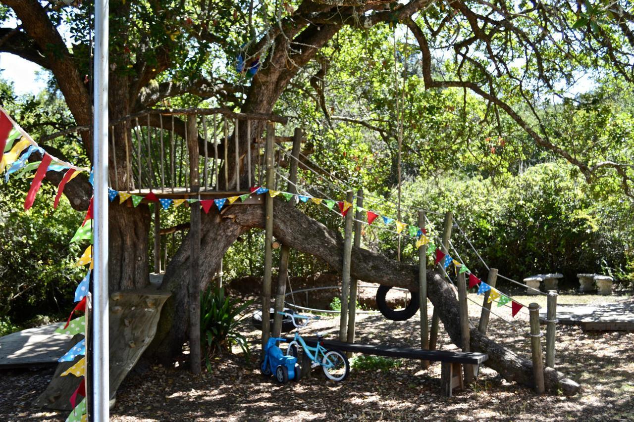 Shepherd'S Tree Backpackers Κνύσνα Εξωτερικό φωτογραφία