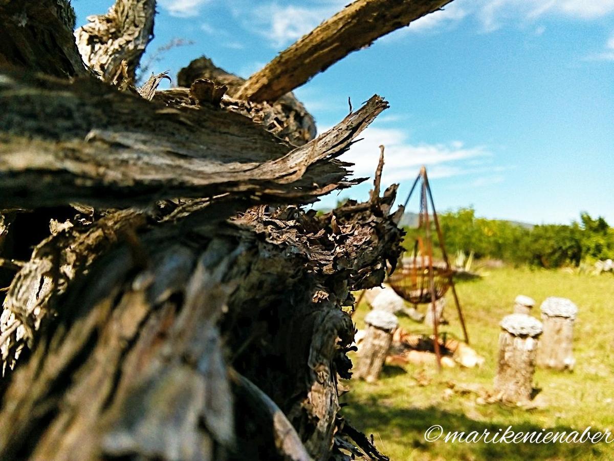 Shepherd'S Tree Backpackers Κνύσνα Εξωτερικό φωτογραφία