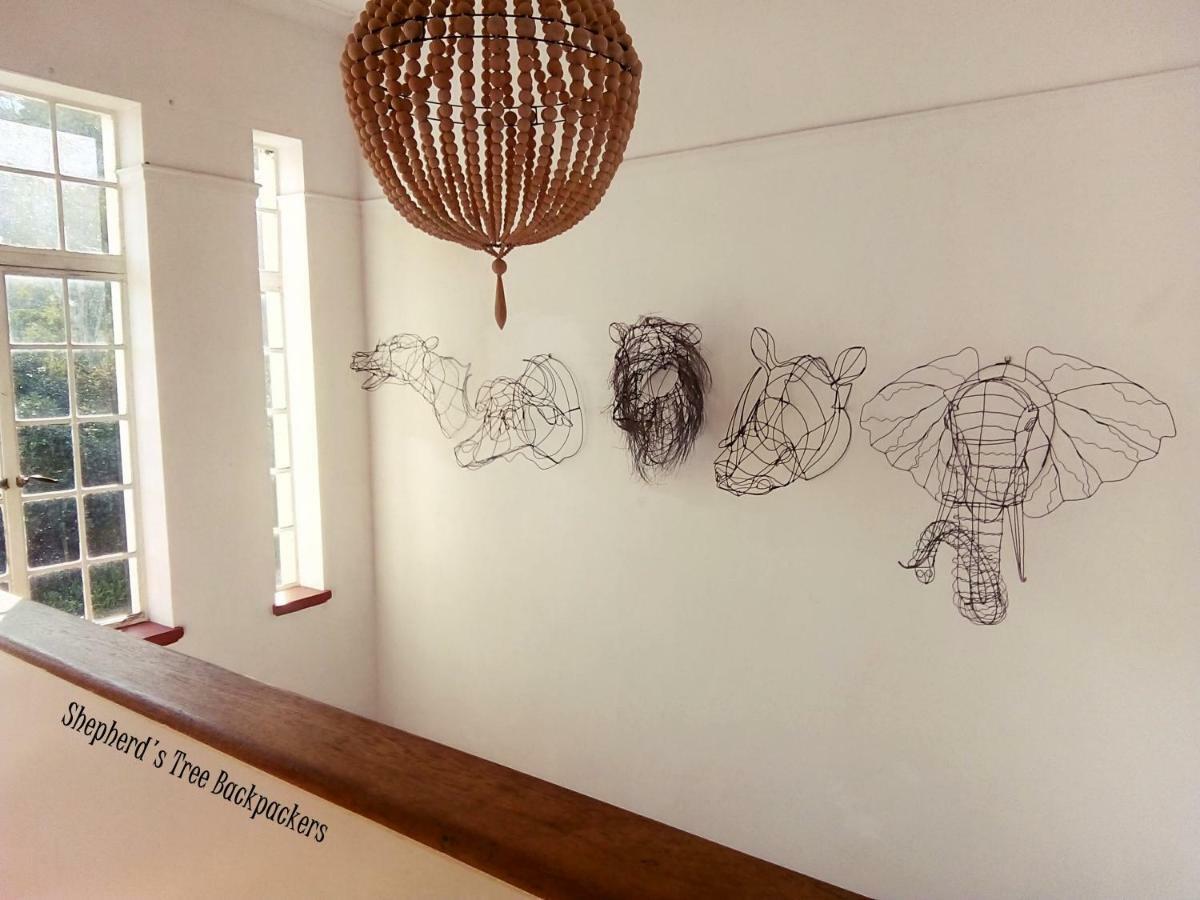 Shepherd'S Tree Backpackers Κνύσνα Εξωτερικό φωτογραφία