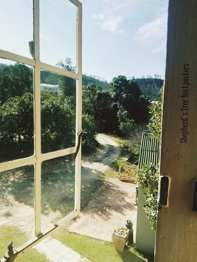 Shepherd'S Tree Backpackers Κνύσνα Εξωτερικό φωτογραφία